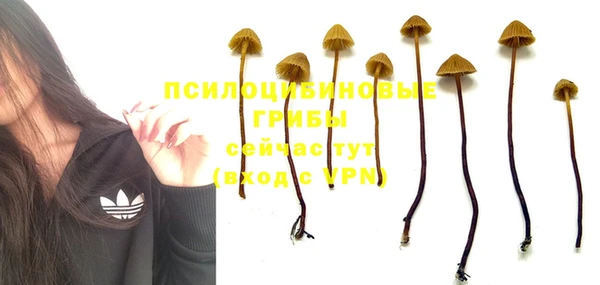 кокс Алексеевка